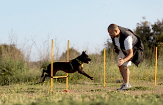 İleri İtaat Eğitimi
