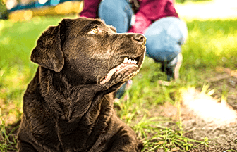 Davranış Bozukluğu